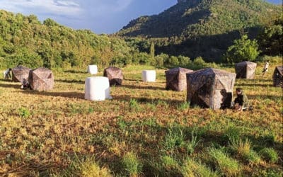Asilvestrats lleva el laser tag al domicilio con soluciones de juegos móviles en toda Cataluña