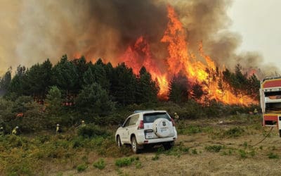Desde Majadahonda: «Este ha sido un verano nefasto y catastrófico a causa del fuego»