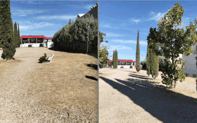 «El sitio de mi recreo»: una placita olvidada y sin nombre en Majadahonda que Vicente Araguas rescata en memoria del músico Antonio Vega
