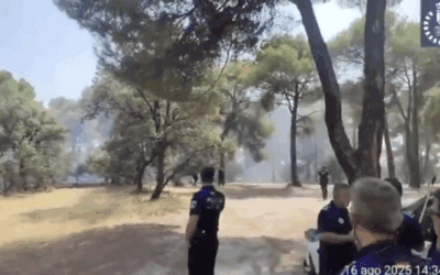 «Vecinos por Majadahonda» pide hacer públicos los informes sobre el incendio del Monte del Pilar: PP rechazó un plan «antifuegos»