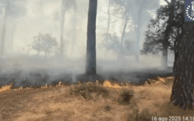 La Ordenanza Municipal de Movilidad en Majadahonda y los incendios del verano