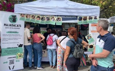«Majadacats» hace balance de su participación en las Fiestas de Majadahonda: «Gracias a los voluntarios y a los que nos dan visibilidad»