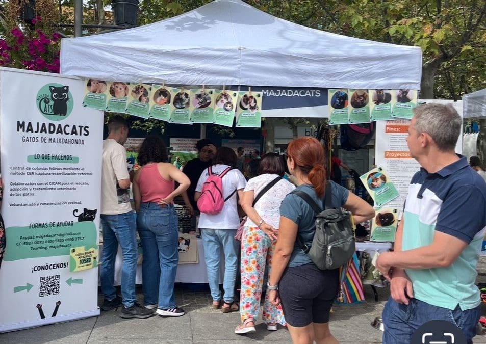 «Majadacats» hace balance de su participación en las Fiestas de Majadahonda: «Gracias a los voluntarios y a los que nos dan visibilidad»