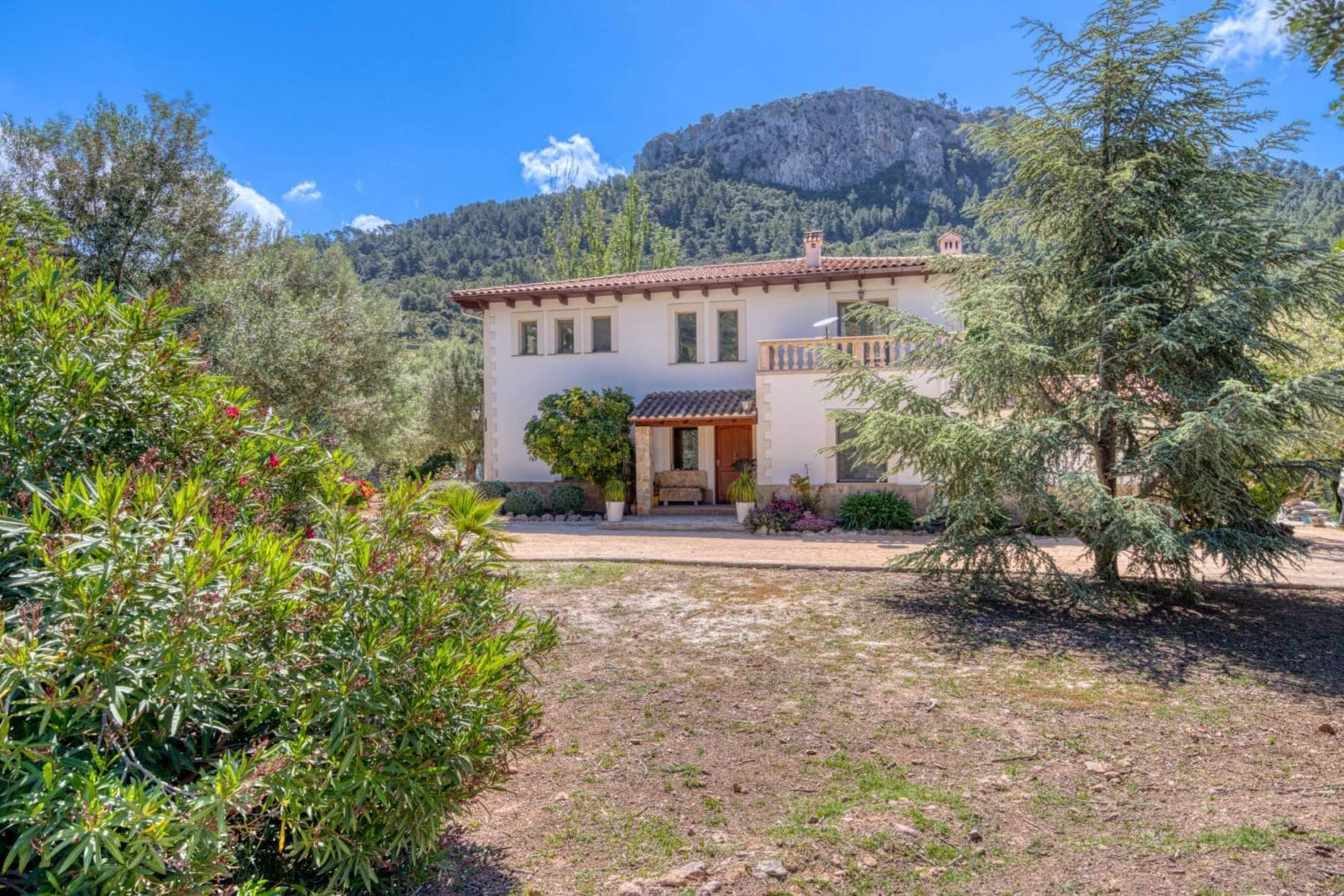 Lovian Properties ofrece una experiencia inmobiliaria exclusiva en Santa Ponsa, Mallorca