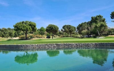 5 rincones secretos de La Moraleja que solo conocen los que viven aquí