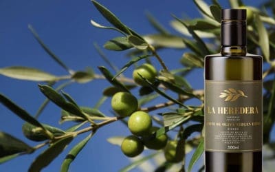 Bodegas Gancedo lanza ‘La Heredera’, uno de los primeros aceites 100% Bierzo