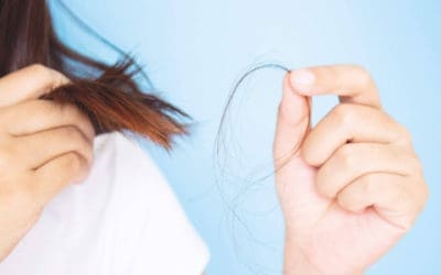 El otoño y el pelo; qué ocurre en el ciclo capilar durante los cambios de estación