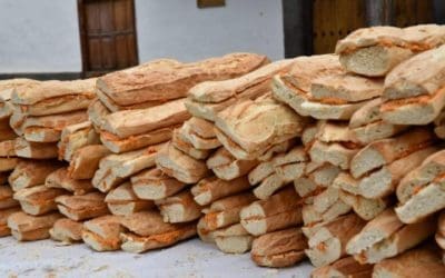 Las Fiestas del Pino un tributo a la cultura y las tradiciones de Canarias