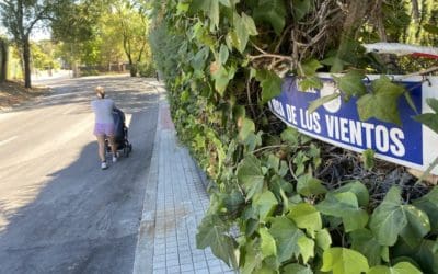 Amplio eco de la moción de «Vecinos por Majadahonda» para recortar los setos que invaden las aceras: rechazo del PP y apoyo de toda la Oposición