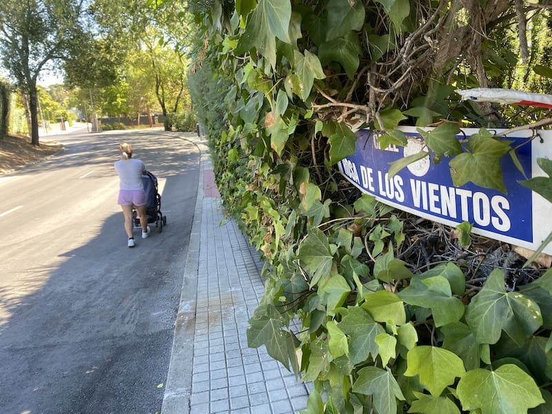 Amplio eco de la moción de «Vecinos por Majadahonda» para recortar los setos que invaden las aceras: rechazo del PP y apoyo de toda la Oposición