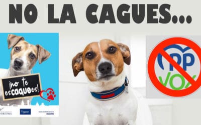 Pleno Majadahonda: la mayoría absoluta del PP rechaza todas las mociones de la Oposición con el apoyo de Vox