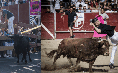 Ivantxu y sus 20 espectaculares fotos de «encierros» y «recortes» en Majadahonda: «Sin tradiciones un pueblo no tiene pasado, vida ni historia»