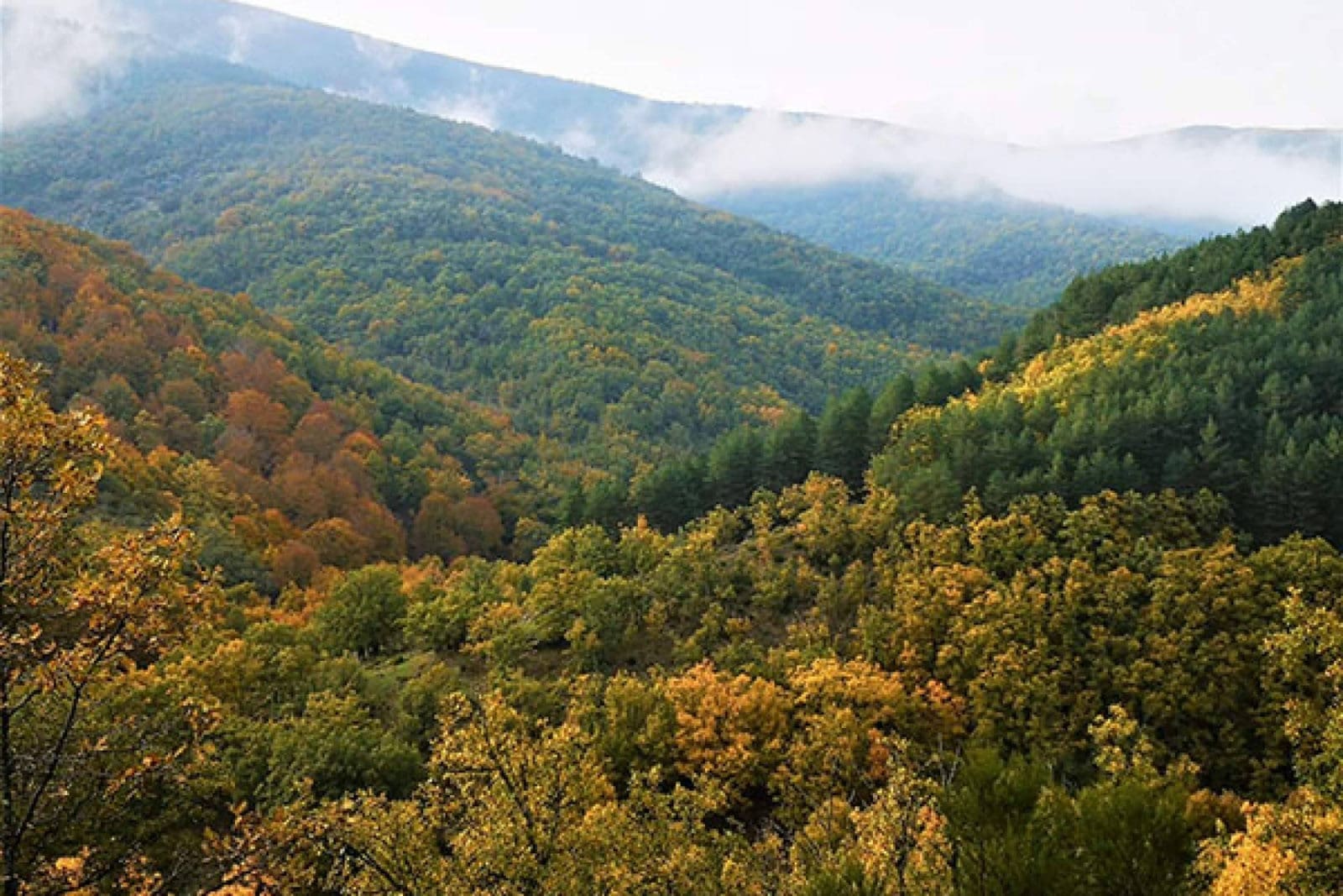 Como hacer que su viaje ayude realmente a la conservación de la Naturaleza; Una clara llamada a la acción desde Tourism4Nature