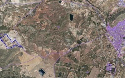 A subasta un solar urbanizable de 187.400 m2, en Jumilla, por más de 3 millones de euros