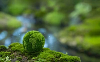ISO y GHG Protocol se alían para definir un estándar global en la medición de la huella de carbono