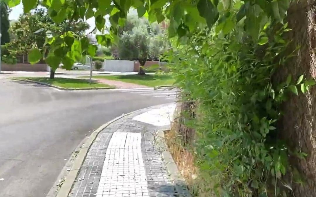 El «debate y pleno» sobre los setos en Majadahonda: las «razones» del Gobierno y de la Oposición