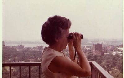 Salen a la luz 98 cajas del archivo de la poeta Concha Zardoya (Majadahonda)