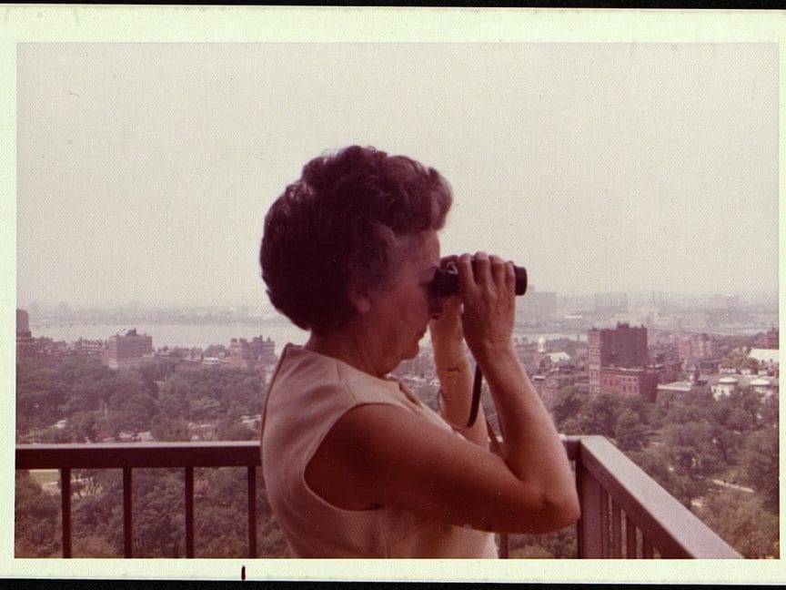 Salen a la luz 98 cajas del archivo de la poeta Concha Zardoya (Majadahonda)