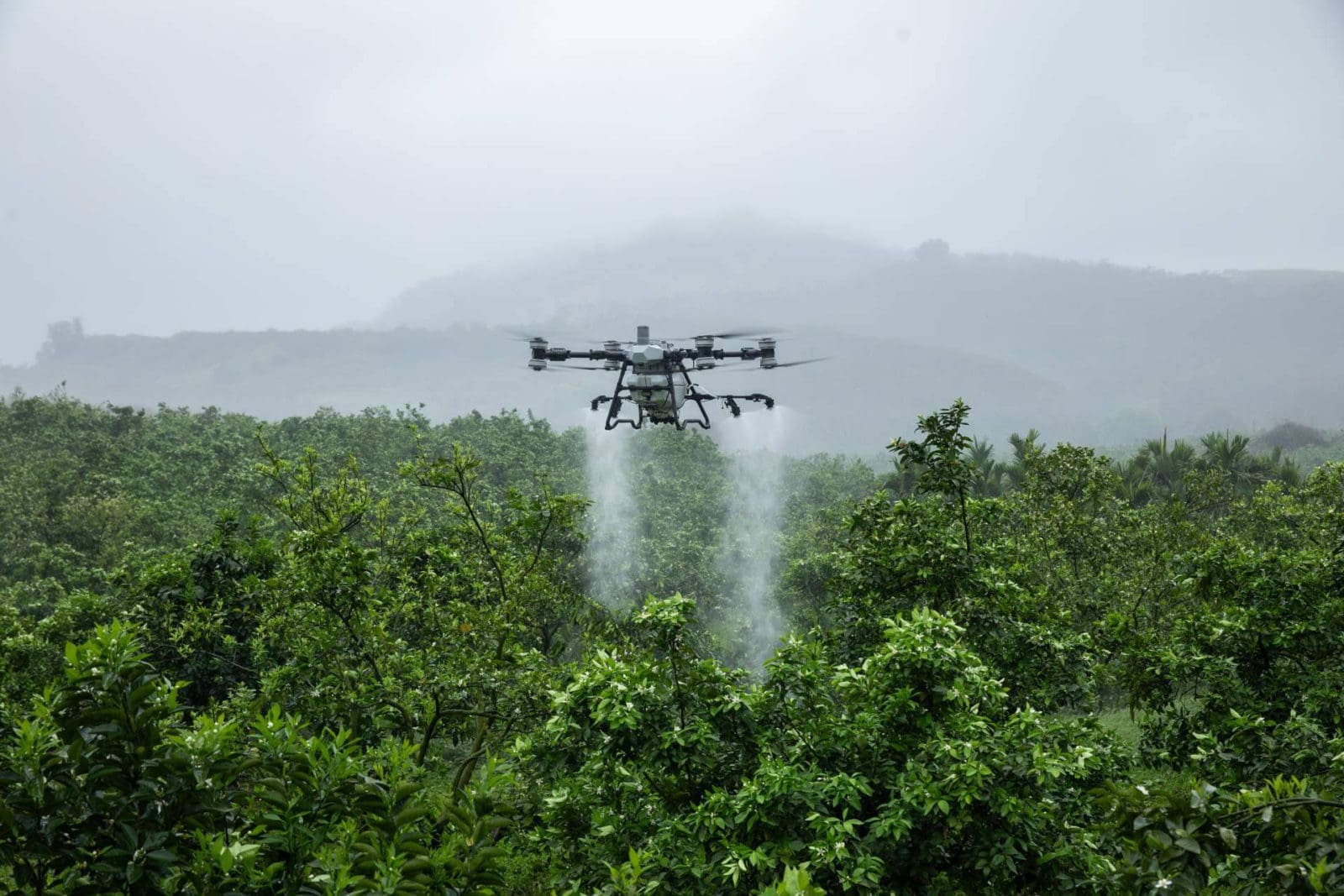 Llega a España el dron DJI Agras T100 de la mano de Aerofor, distribuidor oficial de DJI Agriculture