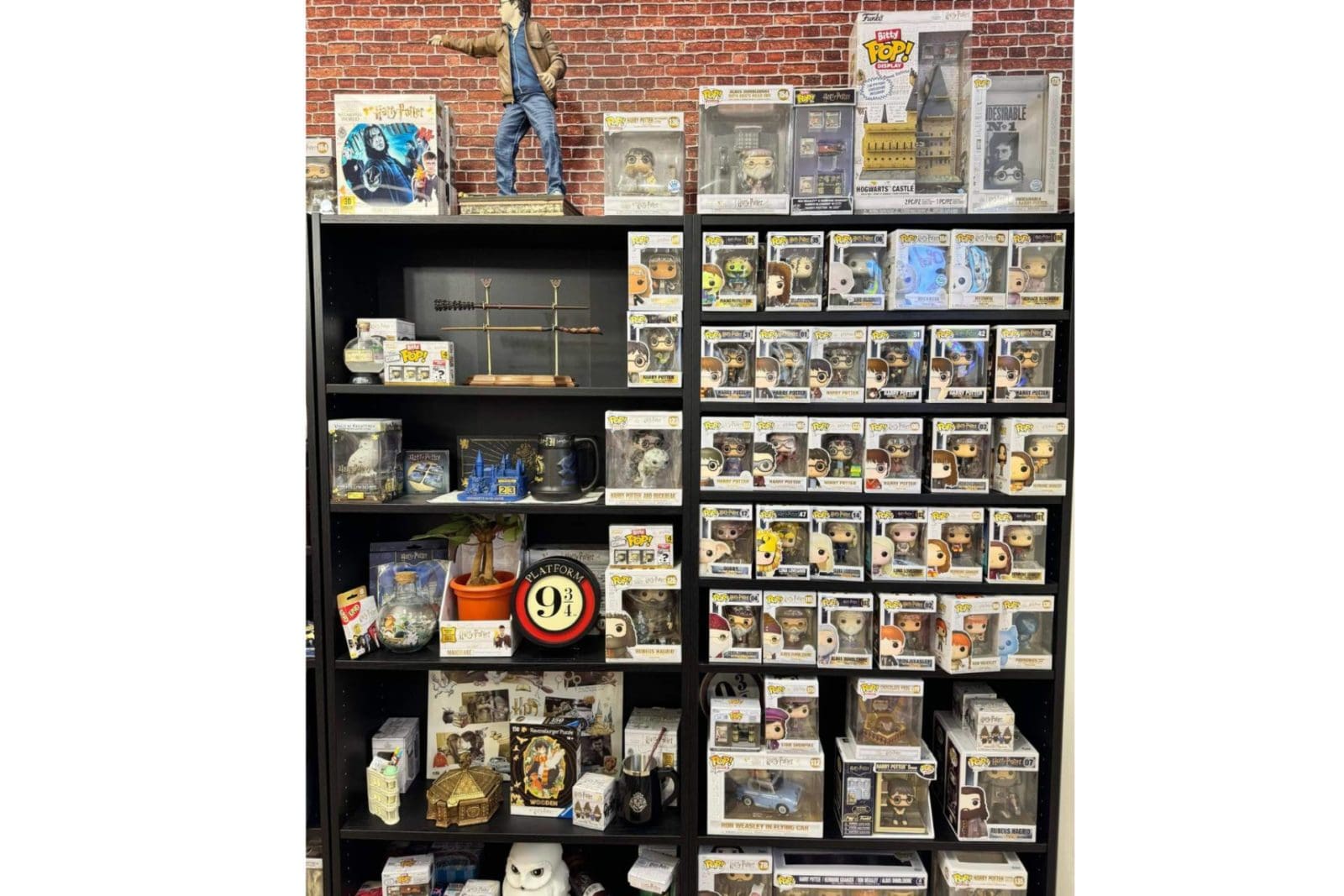 Passarella Store, el punto de encuentro para fans de Harry Potter a minutos de Valencia