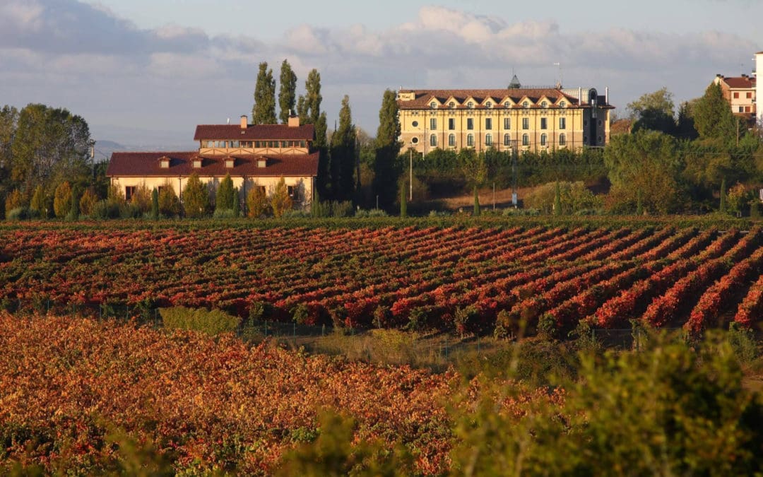 Navidad 2025; rutas y planes irresistibles por toda España