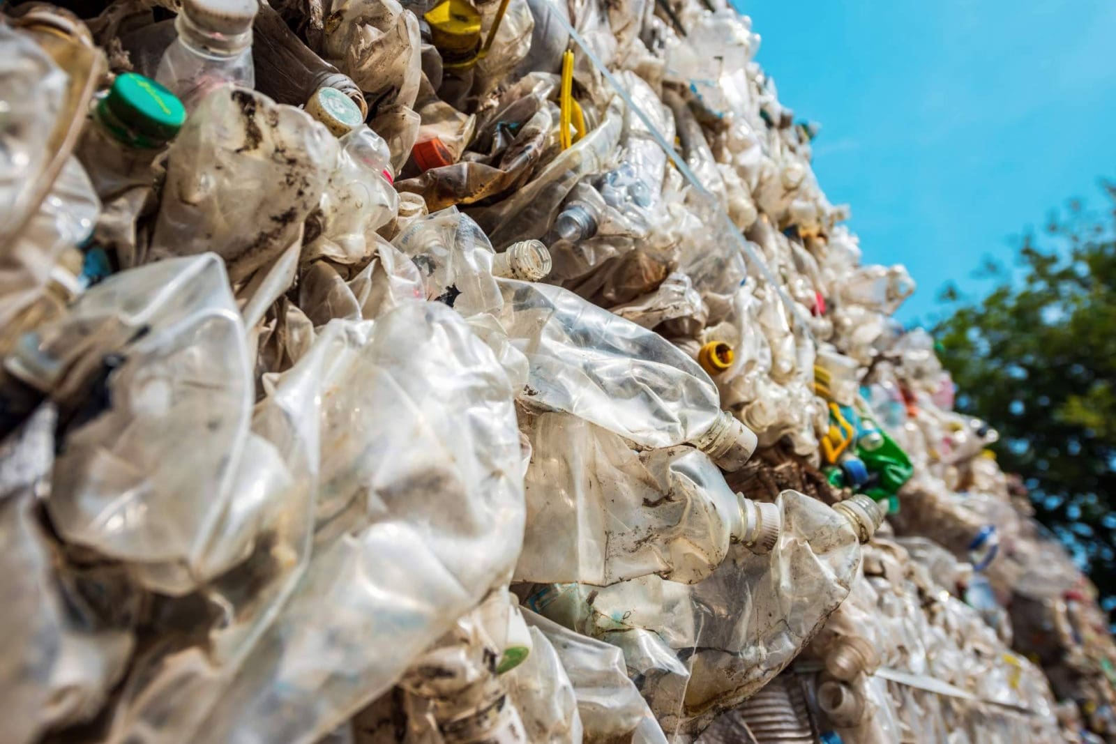 Gestores de residuos apuestan por RECIRCULAR para avanzar hacia la economía circular