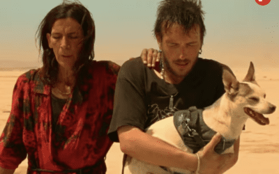 Una farmacéutica alerta que los perros de Majadahonda se están intoxicando al comer excrementos humanos tóxicos y defecados junto a los parques