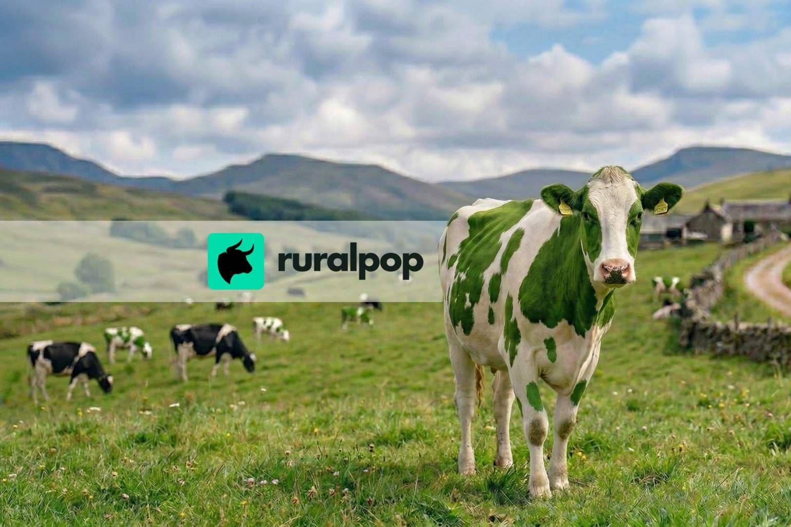 El cierre de Vacapop impulsa a Ruralpop como líder rural online