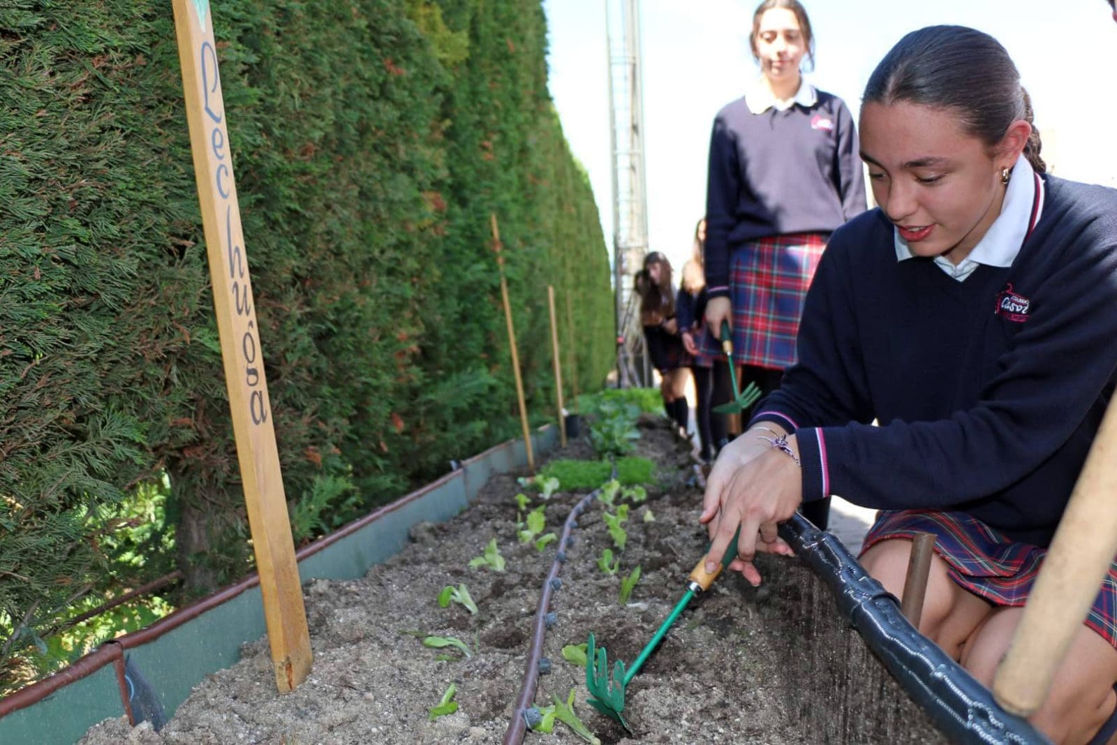 Casvi Boadilla refuerza su apuesta por la sostenibilidad con Ecoescuelas y proyectos ambientales liderados