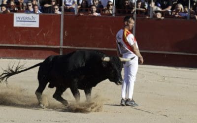 Fallece a los 44 años Luis Herranz, «recortador» taurino de Majadahonda: galería fotográfica para la Historia