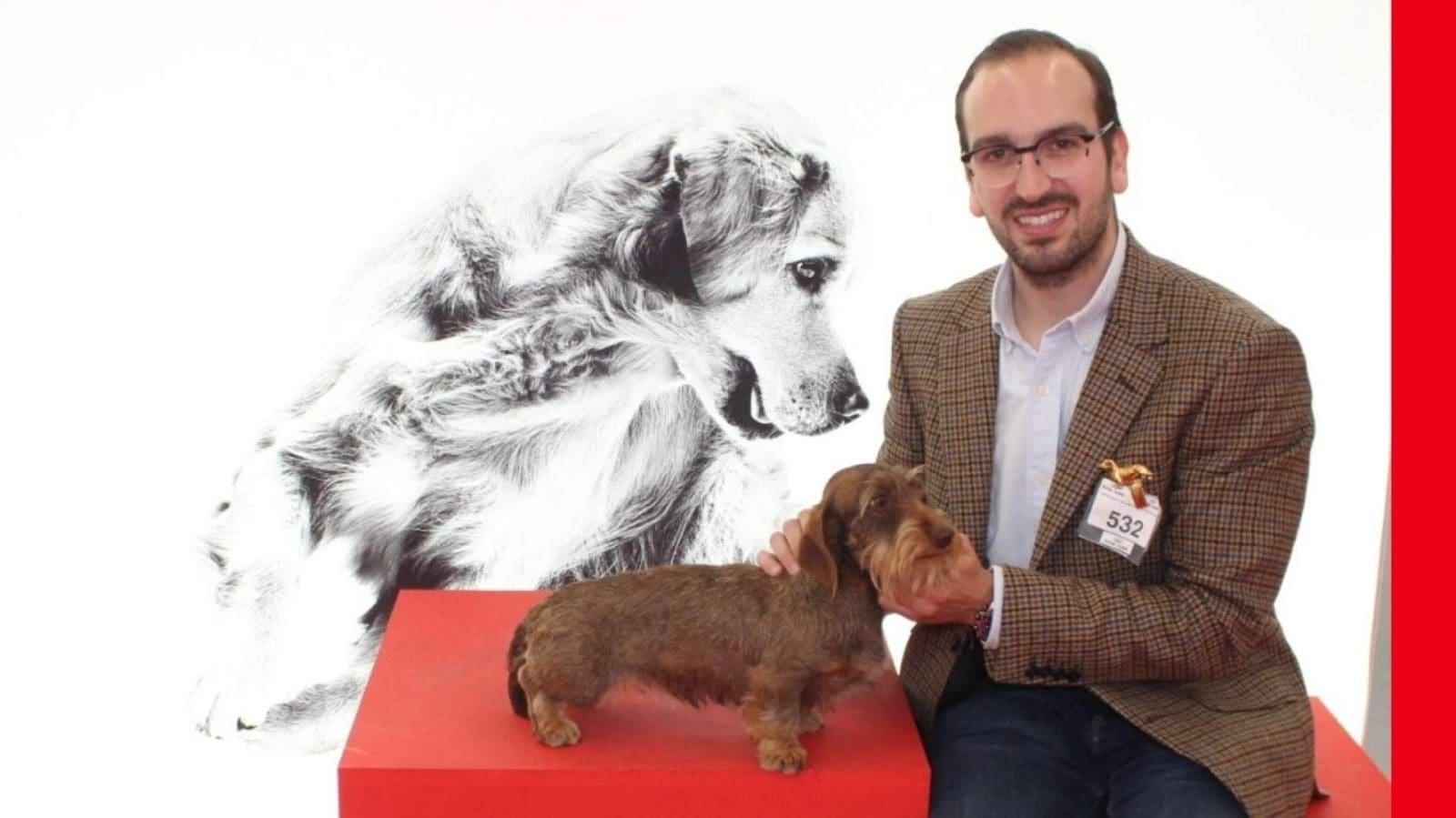 Qué tener en cuenta al elegir un cachorro de Teckel