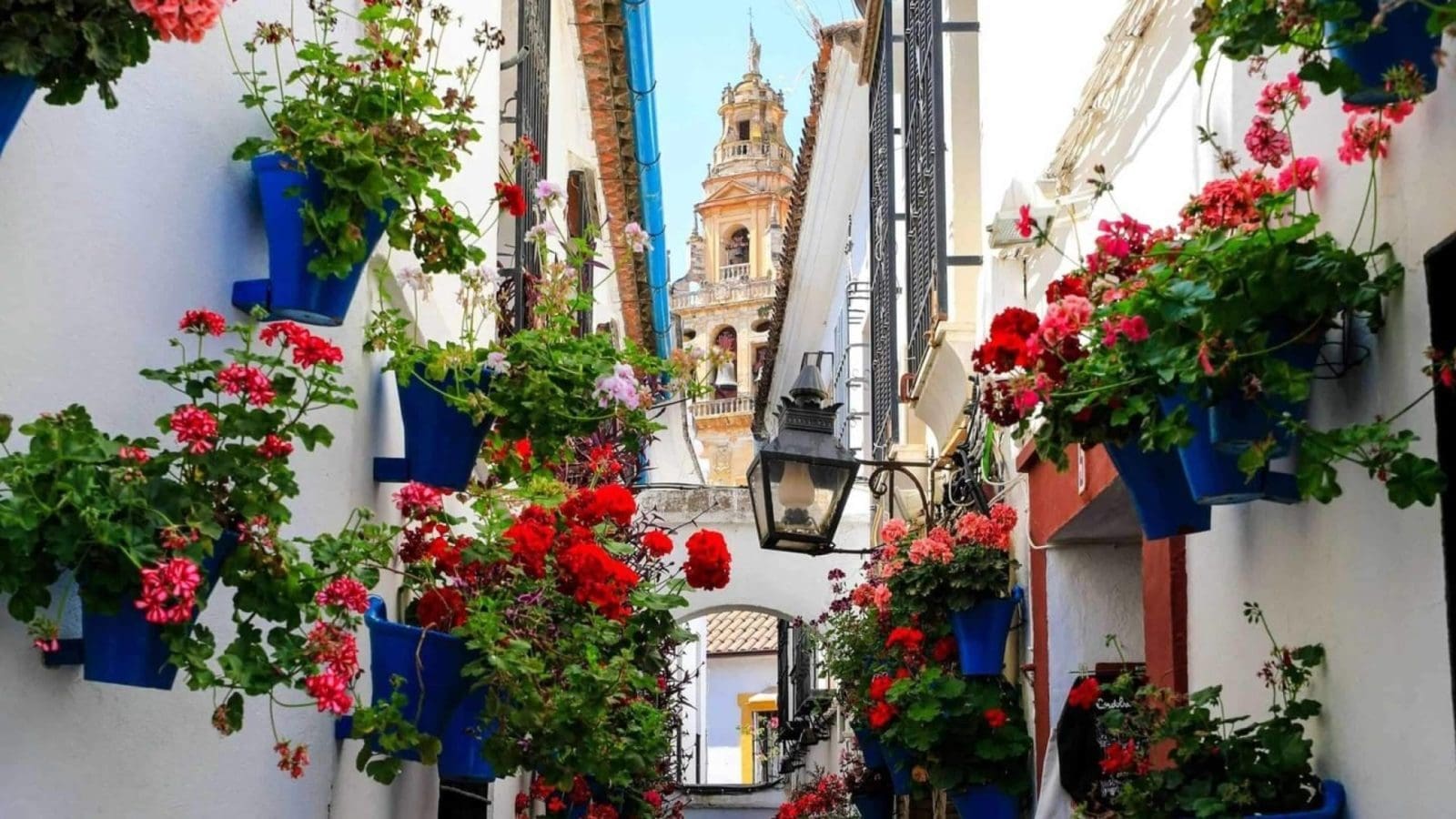 ‘Andalucía en flor’, las escapadas recomendadas para descubrir la primavera andaluza