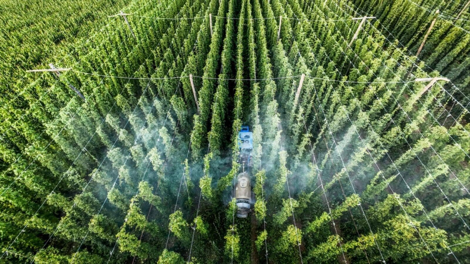 Los sistemas de riego requieren un diseño hidrodinámico adaptado a cada explotación agrícola