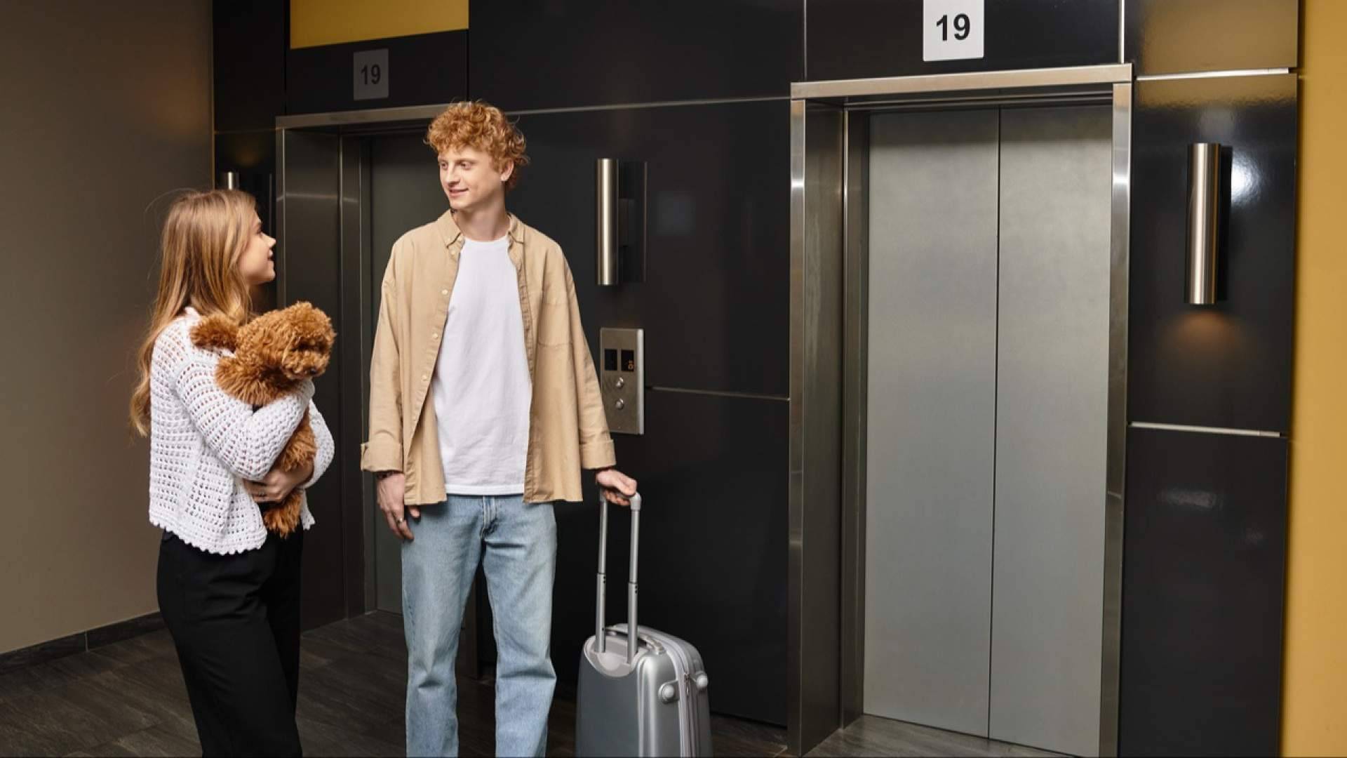 Adiós a las vacaciones; los errores que cometemos al volver a casa con una mascota