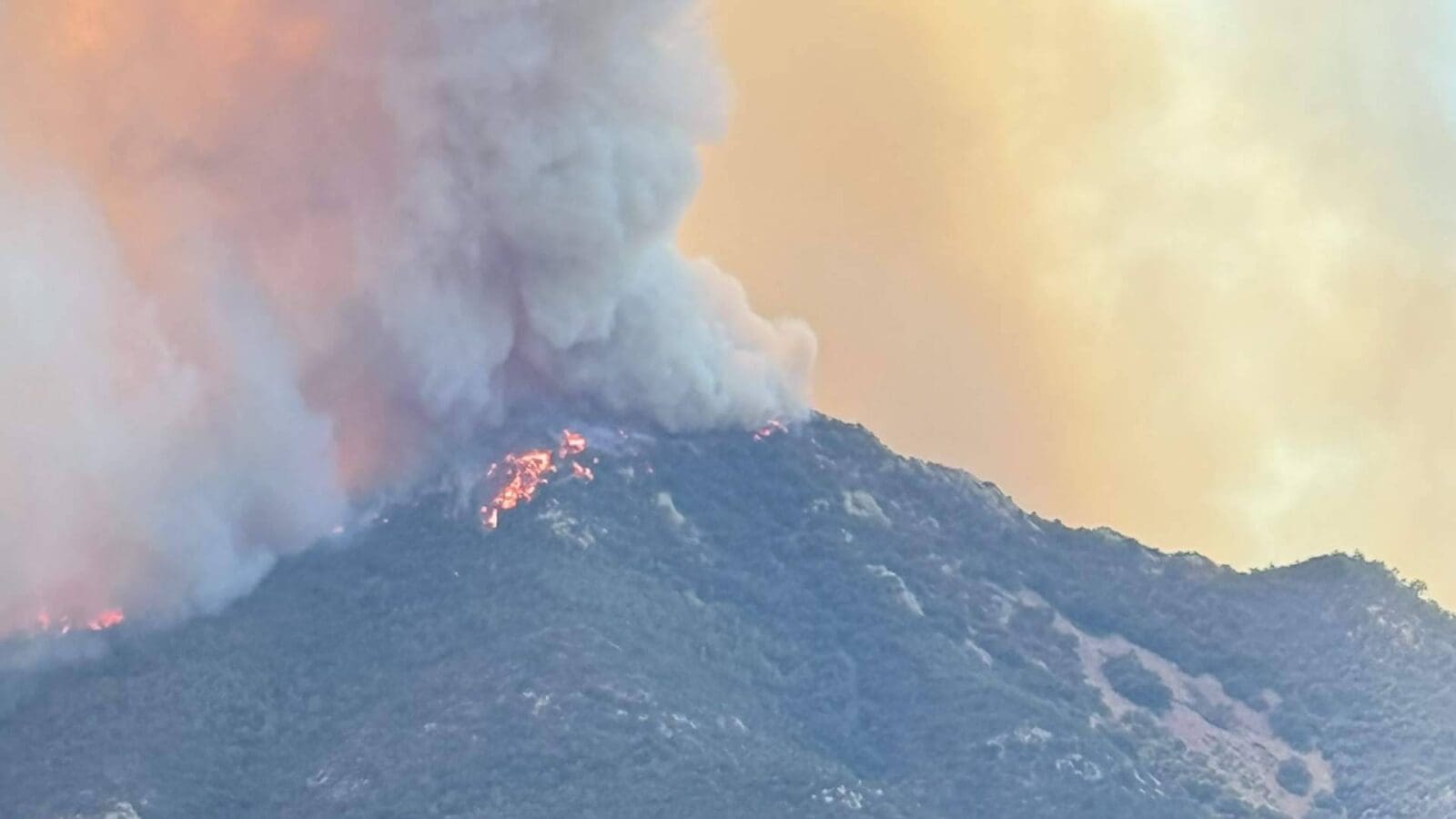 La finca Peña Alta de Tropitop queda calcinada por el fuego y una ola de apoyo impulsa su recuperación