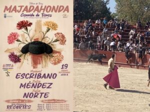 Toros y Encierros en Majadahonda (fotos y videos): «clásicos» en la grada, la «recortadora» majariega Rocío Pulido y las 100 actuaciones de Paquito Murillo Toros y Encierros en Majadahonda (fotos y videos): «clásicos» en la grada, la «recortadora» majariega Rocío Pulido y las 100 actuaciones de Paquito Murillo