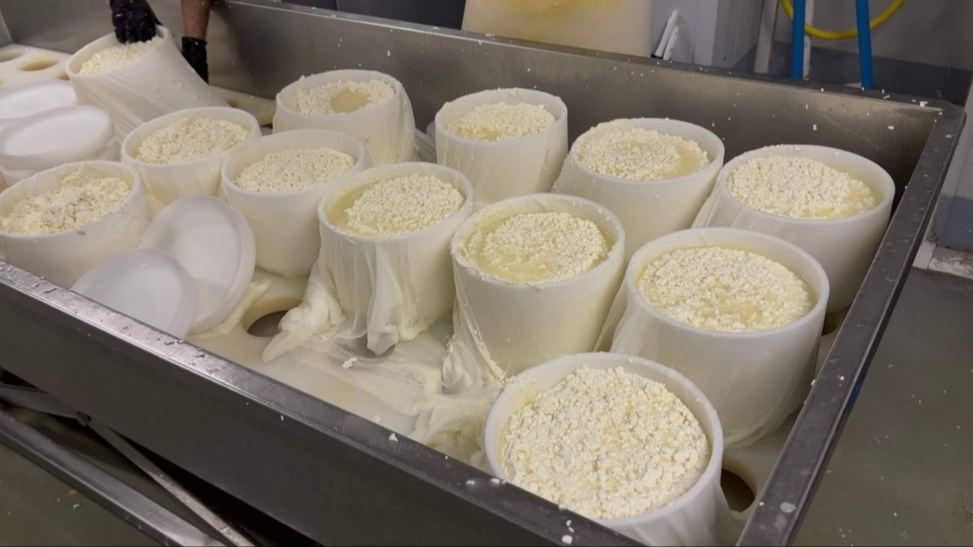 LACTOVALOR abre nuevas vías para transformar los subproductos agroalimentarios en recursos de valor