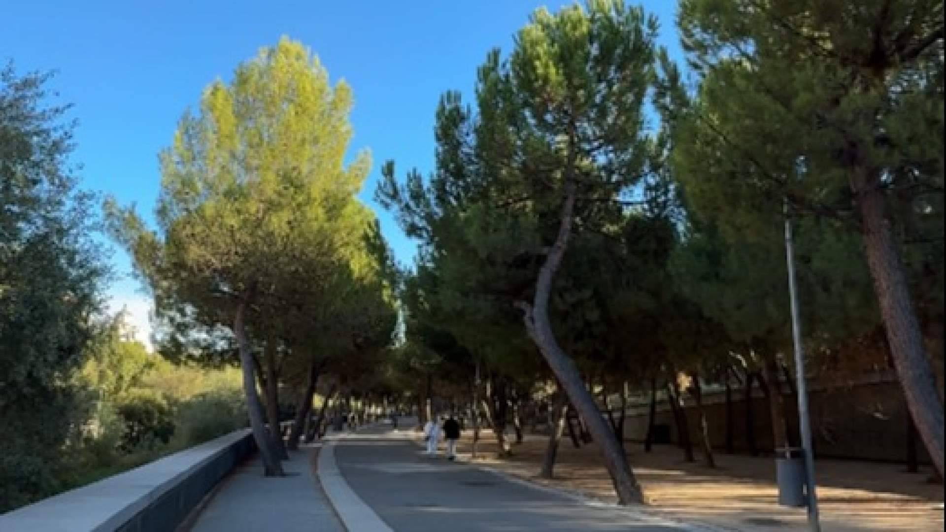 APIT Madrid descubre el lado verde y monumental de la capital en sus nuevas rutas guiadas