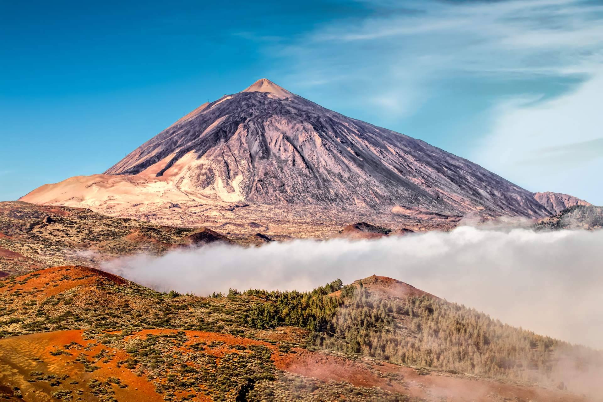 Canarias.com, la agencia de viajes en Tenerife que permite organizar unas vacaciones completas desde un único lugar