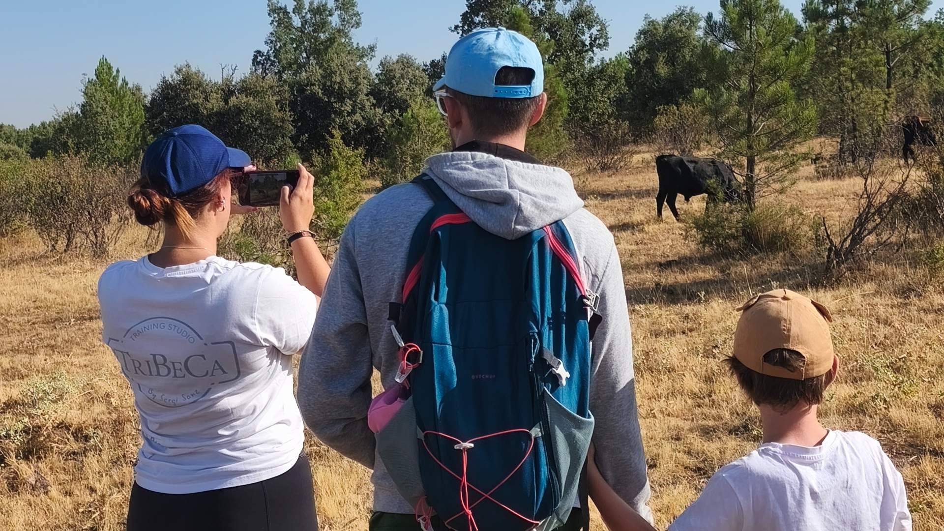 Caballos y tauros en libertad; una escapada al corazón natural de Guadalajara